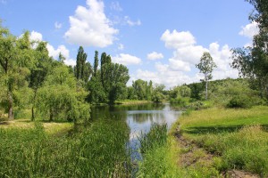 _MG_0196