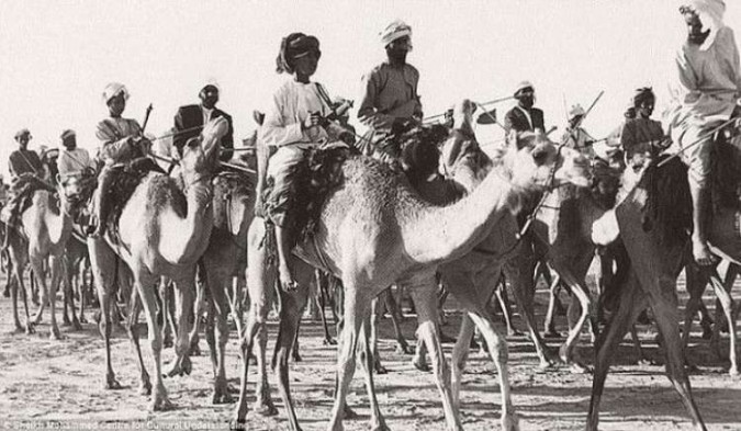 Caravană de cămile călătorește prin Dubai, anii 1960