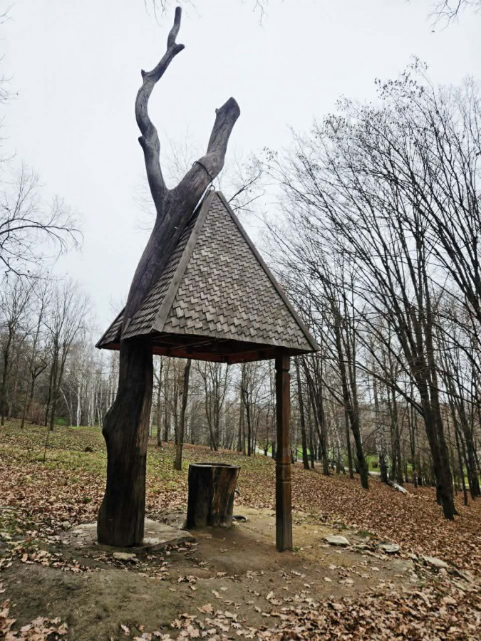 590968382_855482104080595_932763424372699550_n