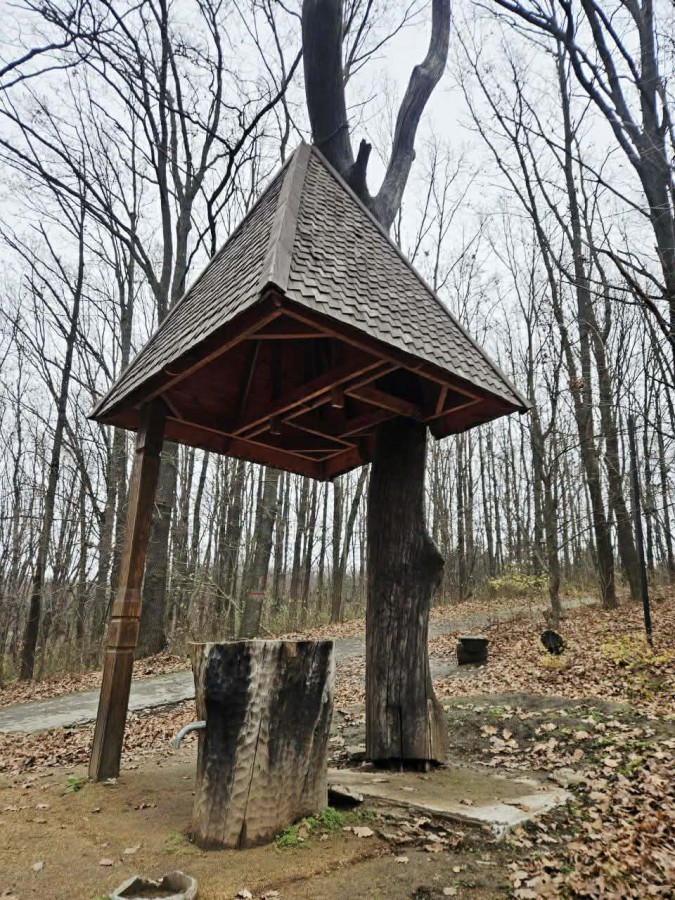 592102047_1343436297039028_579116734606827049_n